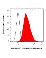 FcZero-rAb? APC Anti-Mouse CD98/SLC3A2 Rabbit Recombinant Antibody Proteintech  APC-FcA98128