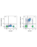 Anti-Human CD39/ENTPD1 Rabbit Recombinant Antibody Proteintech  98102-1-RR