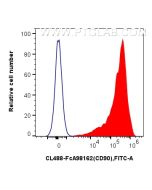 FcZero-rAb? CoraLite? Plus 488 Anti-Rat CD90 Rabbit Recombinant Antibody Proteintech  CL488-FcA98162