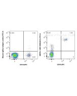Anti-Human CD20 (2H7) Mouse IgG2a Recombinant Antibody Proteintech  65575-1-MR