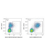 FcZero-rAb? Biotin Anti-Human CD13 (WM15) Rabbit IgG Recombinant Antibody Proteintech  Biotin-FcA65633