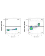 Anti-Human IL-1RAP Rabbit Recombinant Antibody Proteintech  98073-1-RR