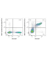 Anti-Mouse TCR beta (H57-597) Armenian Hamster IgG2a Recombinant Antibody Proteintech  65678-1-AR