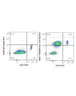 Anti-Human SIRP beta 1/CD172b Rabbit Recombinant Antibody Proteintech  98267-1-RR