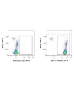 Anti-Human CD47 Rabbit Recombinant Antibody Proteintech  98131-1-RR