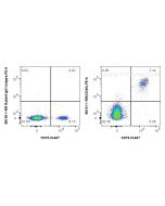 Anti-Human CD40 Rabbit Recombinant Antibody Proteintech  98191-1-RR