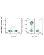 Anti-Human CD3 (UCHT1) Mouse IgG2a Recombinant Antibody Proteintech  65570-1-MR