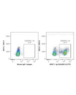 Anti-Rat CD43 (W3/13) Proteintech  65237-1-Ig