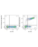 Anti-Mouse S100A9 Rabbit Recombinant Antibody Proteintech  98505-5-RR