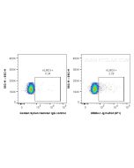 Anti-Mouse KLRG1 (2F1) Proteintech  65084-1-Ig