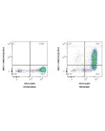 Anti-Human CXCL9/MIG Rabbit Recombinant Antibody Proteintech  98211-1-RR