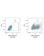 Anti-Mouse IL-6 Rabbit Recombinant Antibody Proteintech  98089-1-RR