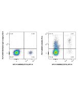 FcZero-rAb? PE Anti-Human CD200 Rabbit Recombinant Antibody Proteintech  PE-FcA98091-2