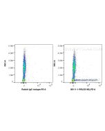 Anti-Human CD160 Rabbit Recombinant Antibody Proteintech  98111-1-RR