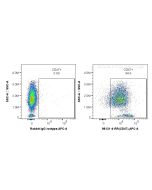 Anti-Human CD47 Rabbit Recombinant Antibody Proteintech  98131-4-RR