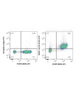 Anti-Mouse CD1d (1B1) Proteintech  65242-1-Ig