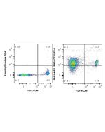 Anti-Human Prion protein PrP/CD230 Rabbit Recombinant Antibody Proteintech  98414-4-RR