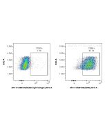 FcZero-rAb? APC Anti-Mouse CD80 Rabbit Recombinant Antibody Proteintech  APC-FcA98158