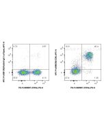 FcZero-rAb? APC Anti-Mouse CD5 Rabbit Recombinant Antibody Proteintech  APC-FcA98038