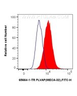 Anti-Mouse PLVAP (MECA-32) Rat IgG2a Recombinant Antibody Proteintech  65664-1-TR