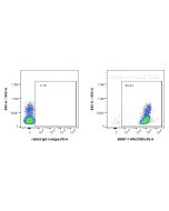 Anti-Human ICAM3/CD50 Rabbit Recombinant Antibody Proteintech  98097-1-RR