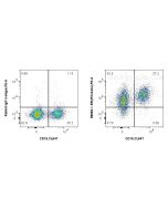 Anti-Mouse IFN-beta Rabbit Recombinant Antibody Proteintech  98082-1-RR