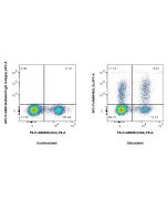 FcZero-rAb? APC Anti-Rat IL-2 Rabbit Recombinant Antibody Proteintech  APC-FcA98046