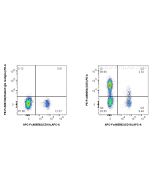 FcZero-rAb? PE Anti-Human CD5 Rabbit Recombinant Antibody Proteintech  PE-FcA98054