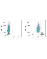 Anti-Human CD48 Rabbit Recombinant Antibody Proteintech  98170-1-RR