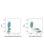 FcZero-rAb? Biotin Anti-Human CD81 (5A6) Rabbit IgG Recombinant Antibody Proteintech  Biotin-FcA65644