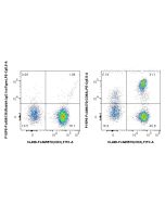 FcZero-rAb? PE-Cyanine5.5 Anti-Human CD8a Rabbit Recombinant Antibody Proteintech  PY5P5-FcA98470