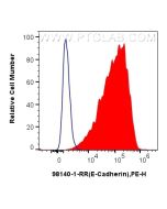 Anti-Mouse E-cadherin Rabbit Recombinant Antibody Proteintech  98140-1-RR
