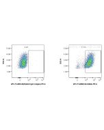 FcZero-rAb? APC Anti-Mouse TLR4/CD284 Rabbit Recombinant Antibody Proteintech  APC-FcA98018