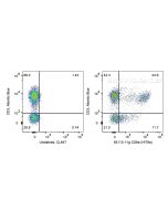 Anti-Human CD8a (Hit8a) Proteintech  65113-1-Ig