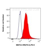Anti-Mouse VEGFR3/FLT4 Rabbit Recombinant Antibody Proteintech  98676-2-RR