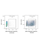 Anti-Human VCAM-1/CD106 Rabbit Recombinant Antibody Proteintech  98079-1-RR