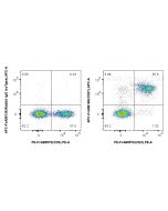 FcZero-rAb? APC Anti-Mouse CD27 Rabbit Recombinant Antibody Proteintech  APC-FcA98160