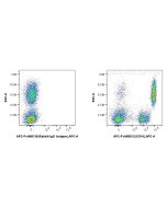 FcZero-rAb? APC Anti-Human CD16 (3G8) Rabbit IgG Recombinant Antibody Proteintech  APC-FcA65612