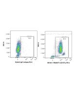 Anti-Human CD157 Rabbit Recombinant Antibody Proteintech  98146-1-RR