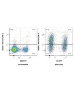 Anti-Mouse TIGIT Rabbit Recombinant Antibody Proteintech  98285-1-RR