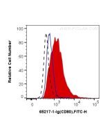Anti-Rat CD80 (3H5) Proteintech  65217-1-Ig