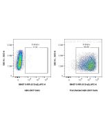 Anti-Mouse IL-13RA2 Rabbit Recombinant Antibody Proteintech  98407-3-RR