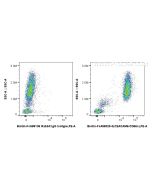 FcZero-rAb? Biotin Anti-Human CEACAM6/CD66c Rabbit Recombinant Antibody Proteintech  Biotin-FcA98329-3