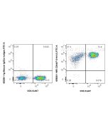 Anti-Human CD44 (F10-44-2) Mouse IgG2a Recombinant Antibody Proteintech  65608-1-MR