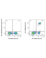 FcZero-rAb? APC Anti-Mouse CD4 (RM4-4) Rabbit IgG Recombinant Antibody Proteintech  APC-FcA65655