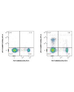 FcZero-rAb? APC Anti-Rat CD8a (OX-8) Rabbit IgG Recombinant Antibody Proteintech  APC-FcA65577