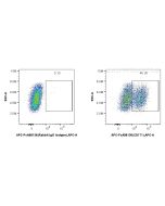 FcZero-rAb? APC Anti-Human L1CAM/CD171 Rabbit Recombinant Antibody Proteintech  APC-FcA98130