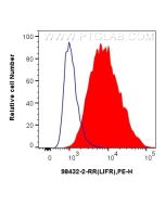 Anti-Human LIFR Rabbit Recombinant Antibody Proteintech  98432-2-RR