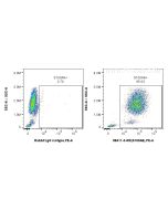 Anti-Human S100A8 Rabbit Recombinant Antibody Proteintech  98411-3-RR