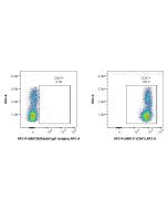 FcZero-rAb? APC Anti-Human CD47 Rabbit Recombinant Antibody Proteintech  APC-FcA98131